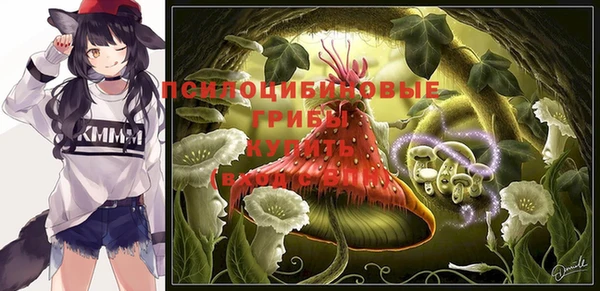 экстази Инта