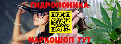 соль ск Можга
